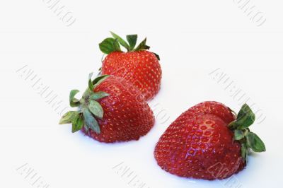 Strawberry in milk