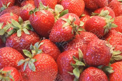 Strawberry background