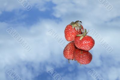 Strawberry in sky