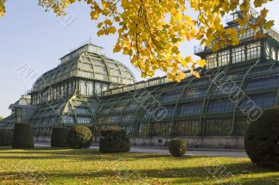 Palm House, Schoenbrunn Castle, Vienna