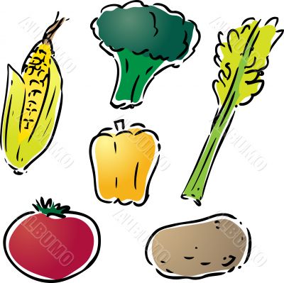 Vegetable illustration