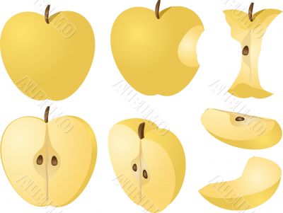 Apple illustration