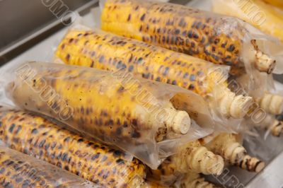 Corn on the cob