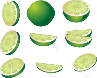 Lime illustration