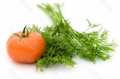 green dill and red tomato