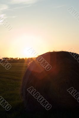 Farm Sunset