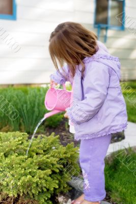 Helping Hands
