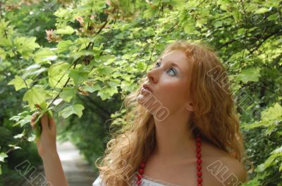 In forest