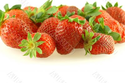 Lots of fresh ripe strawberries over white
