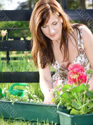 happy gardening