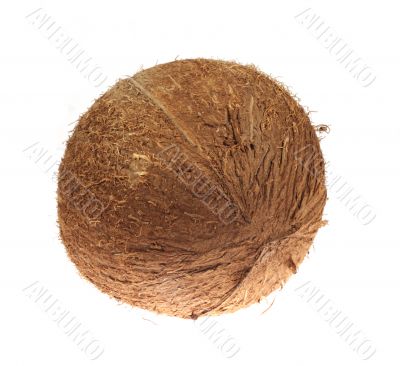Closeup of coconut