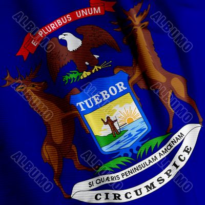 Michigan Flag Closeup