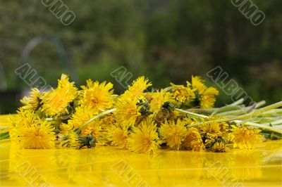 yellow summer