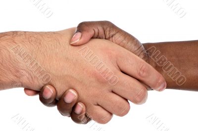 African and caucasian male shaking hands