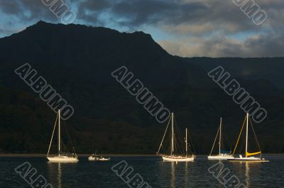 Sailboats in the Early Monring Light
