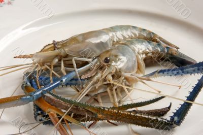 Whole raw prawns