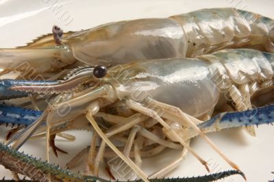 Whole raw prawns