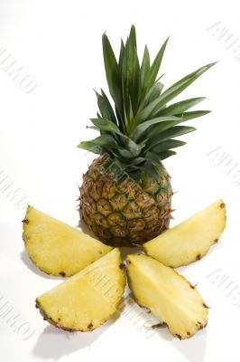 Pineapple