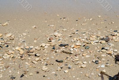 Rocks On The Beach