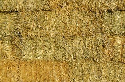 Stacked Straw Hay Bails