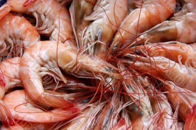 Cooked prawn