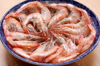 Cooked prawn