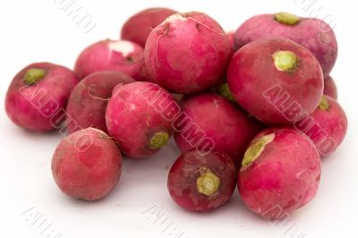 Some garden radishes
