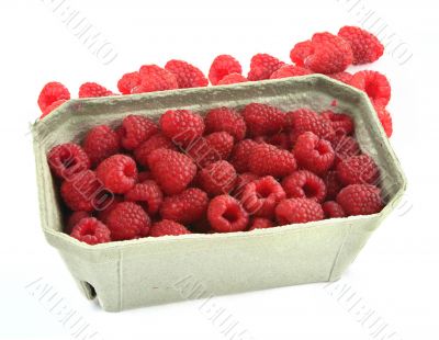 raspberries in cardboard box