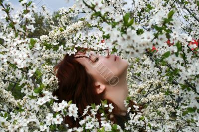 Girl in a blooming cherry tree