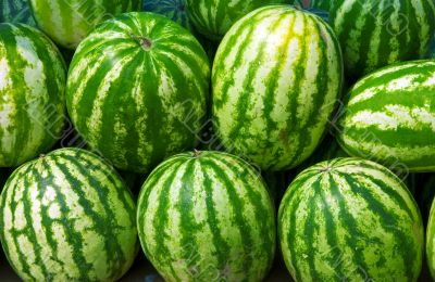 water-melons