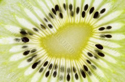 Slice of kiwi