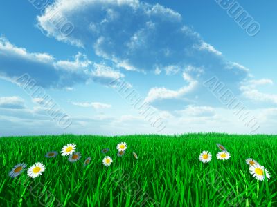 grass and white flowers