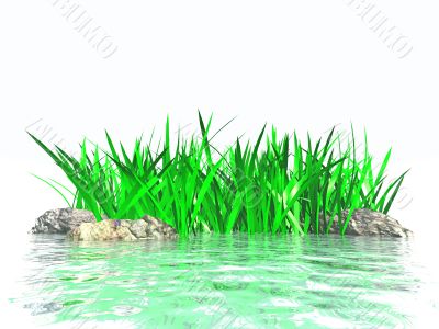 stones and grasses