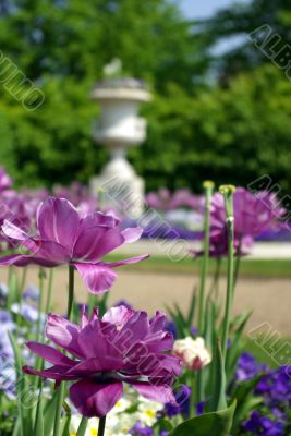 Flowers and fountain in a park