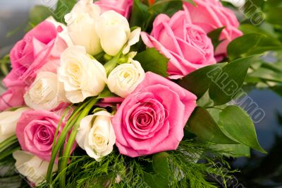 Roses