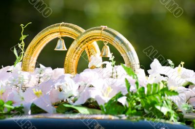 Wedding rings