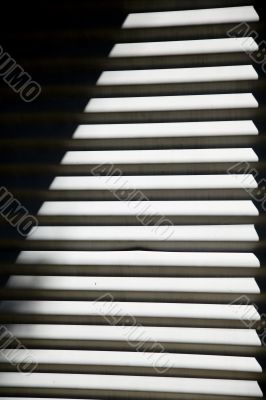 striped texture
