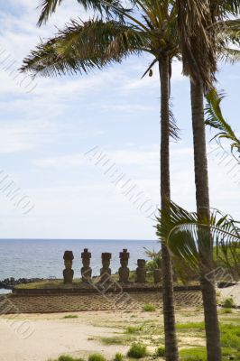 easter island with palmtrees and statues