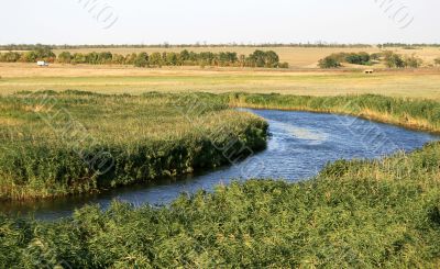 river and field