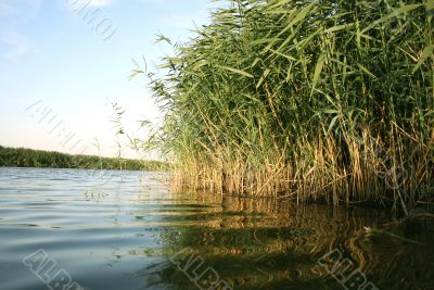  water in the river