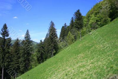 beautiful nature