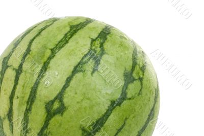 Personal Watermelon