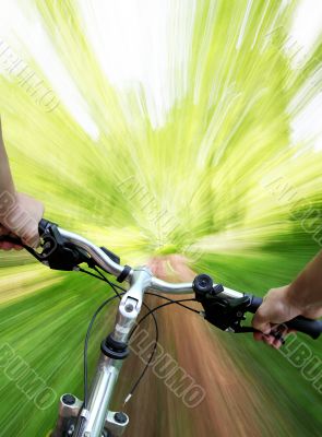 Mountain biking in the forest