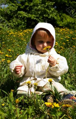 Smalll girl holds a yellow dandelion