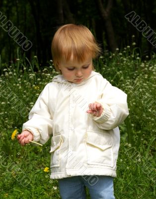 Girl holds a yellow dandelion
