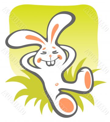 happy bunny