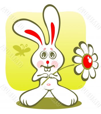 bunny and flower