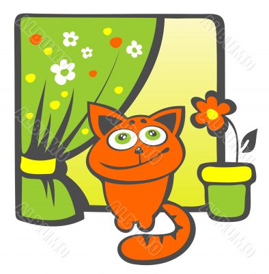 happy cat