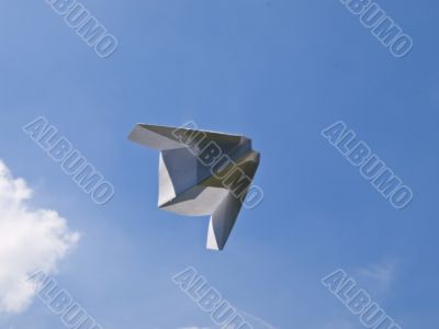 Paper plane 1