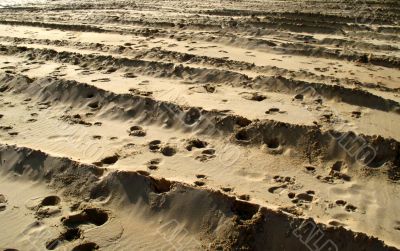 paterns in the sand
